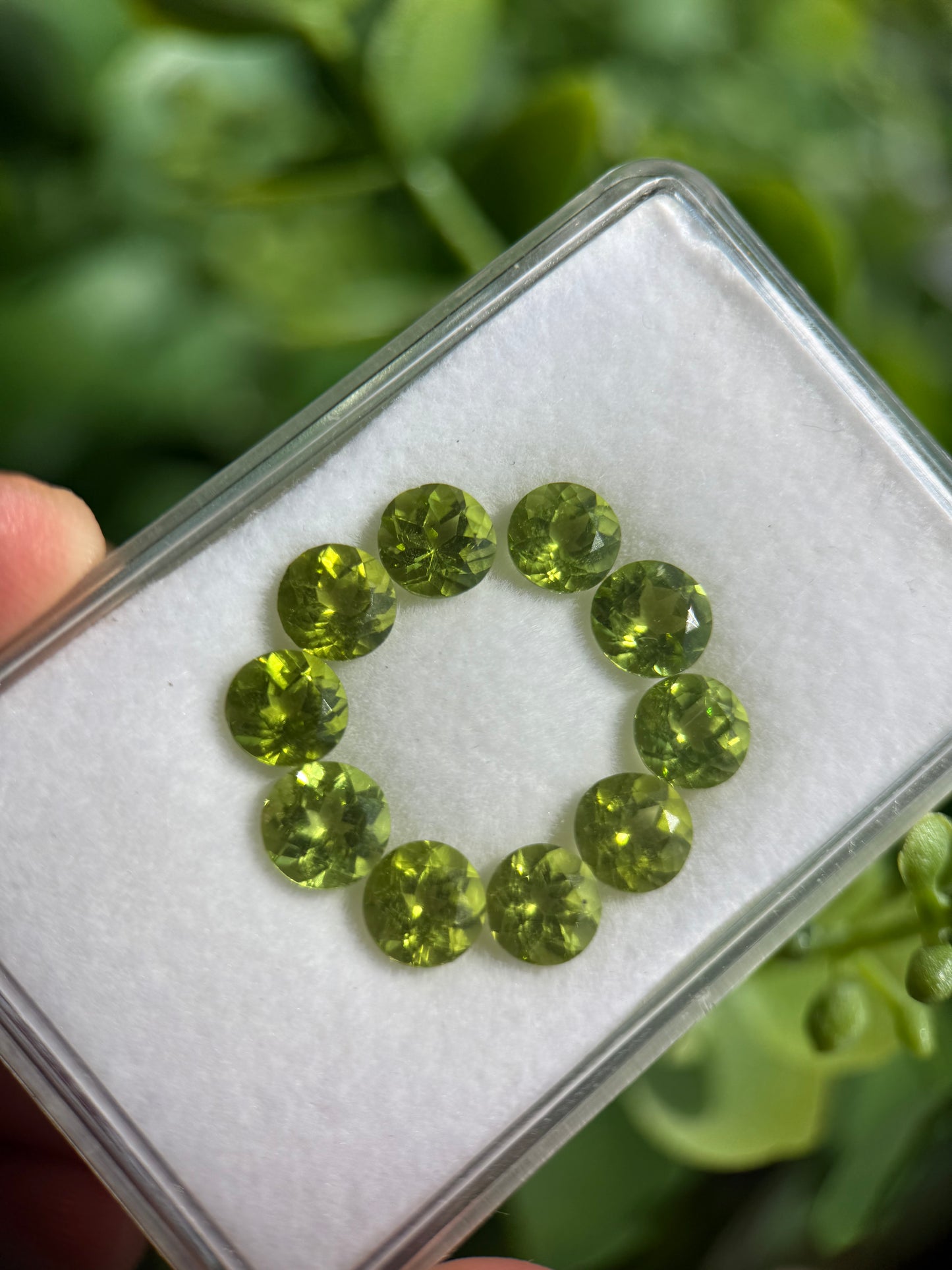 Natural Peridot Gemstones – 8.92 Carat lot, Faceted Round Cut (10 Pieces)