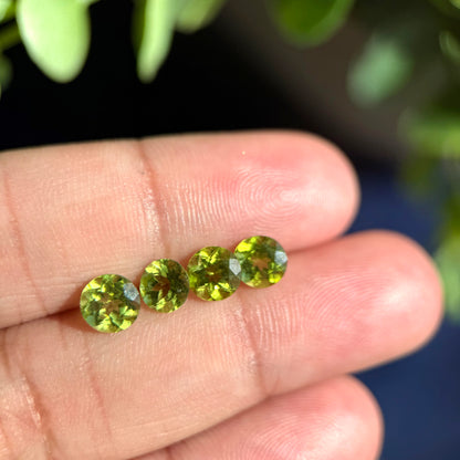 Natural Peridot Gemstones – 8.92 Carat lot, Faceted Round Cut (10 Pieces)