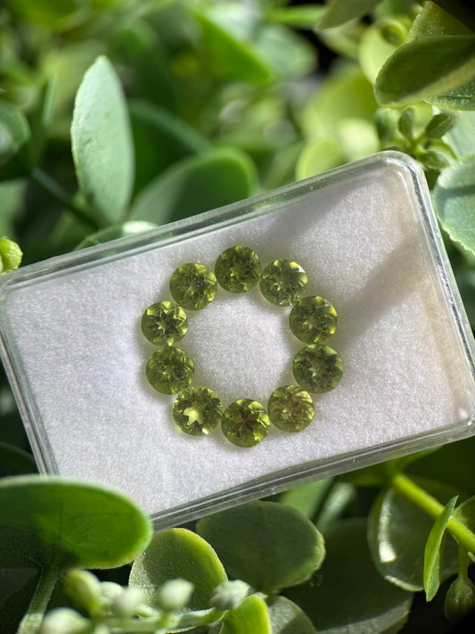 Natural Peridot Gemstones – 8.92 Carat lot, Faceted Round Cut (10 Pieces)